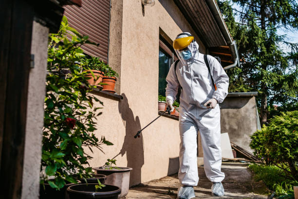 Best Best Pest Control Companies  in Continental, OH