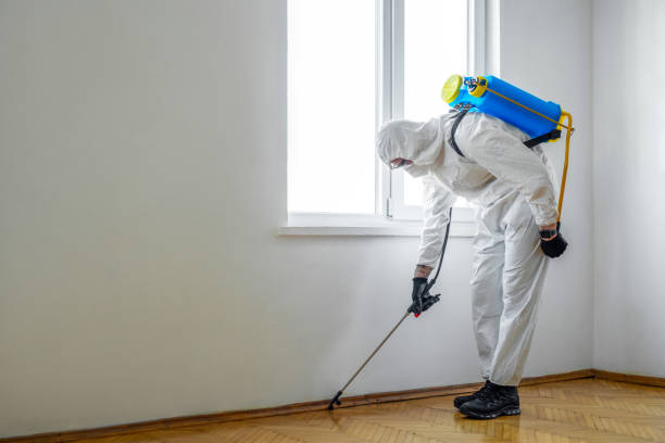 Best Best Pest Control Companies  in Continental, OH