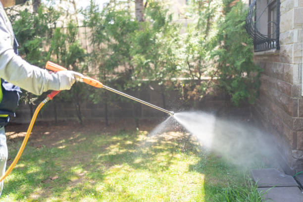 Best Mosquito Control Services  in Continental, OH